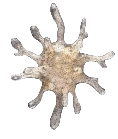 A silver splat.