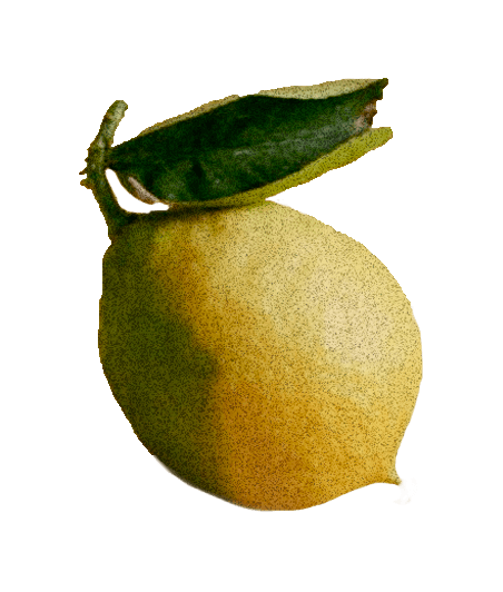A lemon.